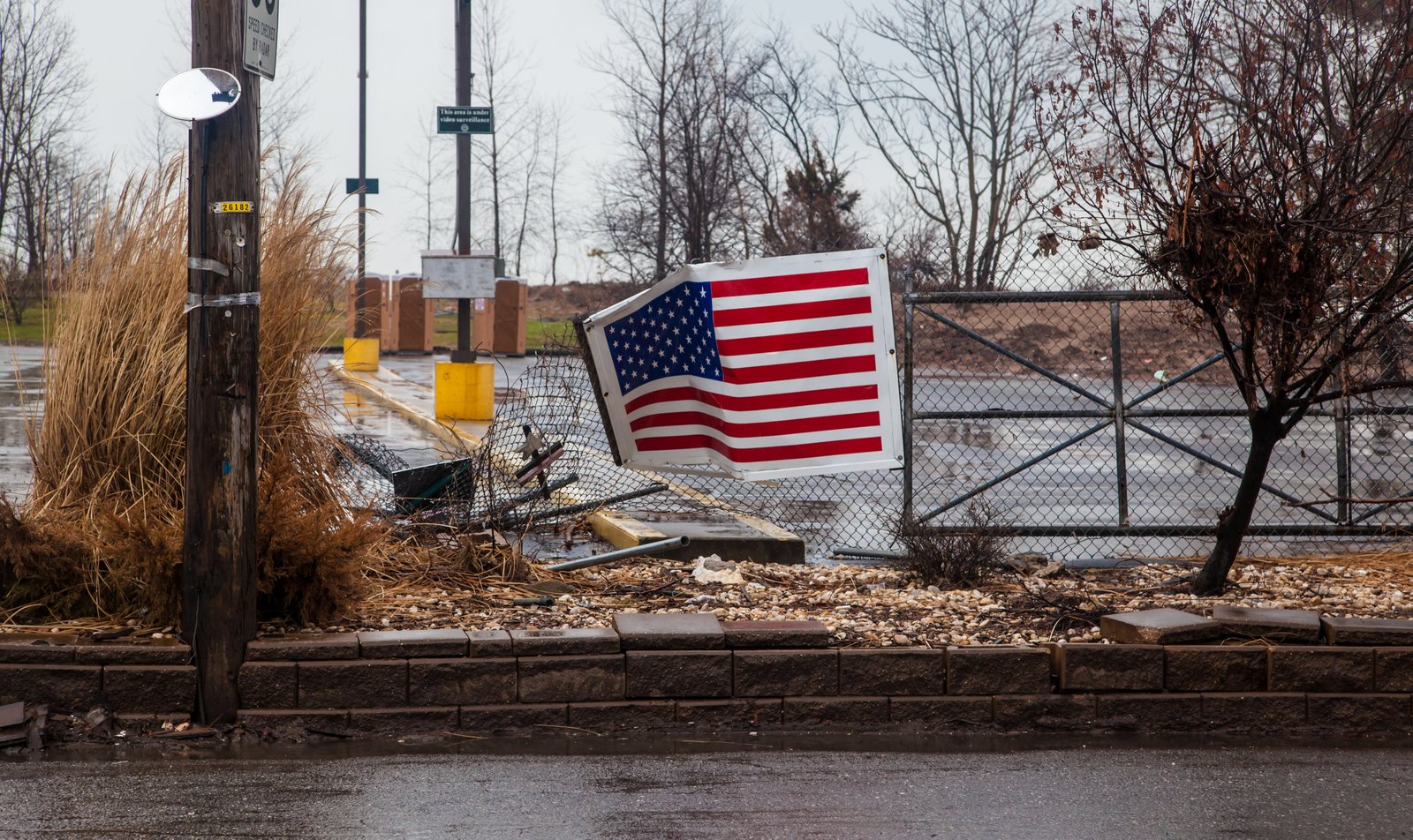 art-of-sandy-mo-staten island 2-31.jpg